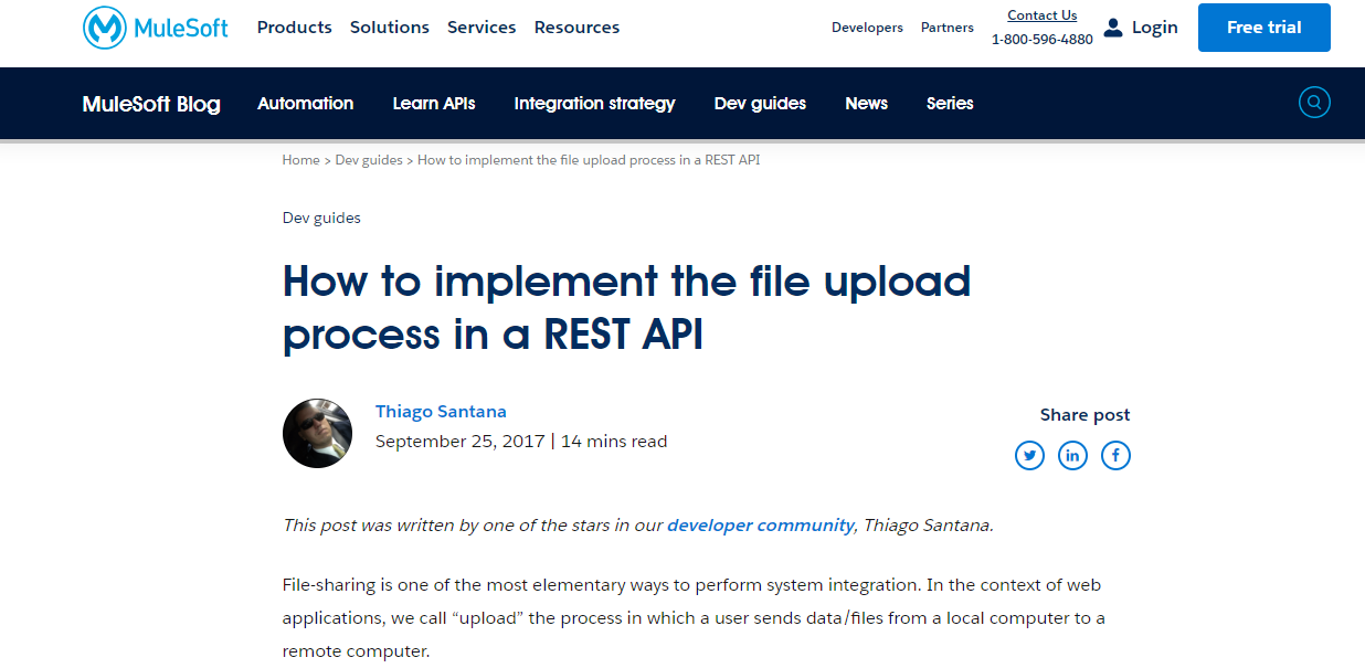 Mulesoft Blog Post